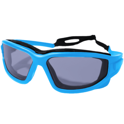 Defence Pros Protective Eyewear (Smoked) product image