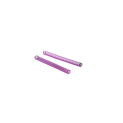 Waldo Dynamics AAP-01/Glock Series “Ion” Nozzle Springs product image